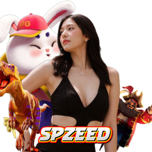 spzeed ทางเข้า